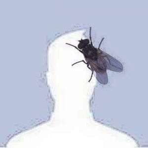 Meet your Posher, Will